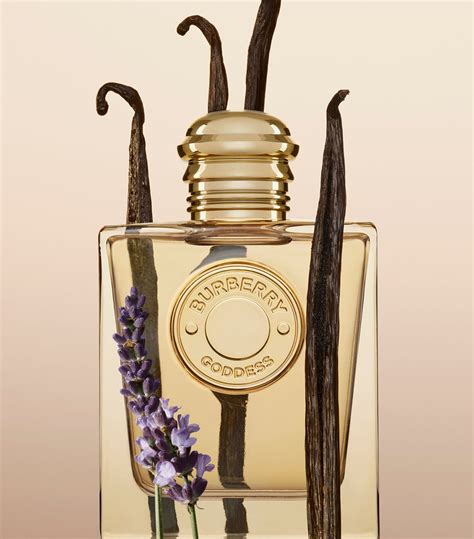 burberry goddess divain|Burberry goddess eau de parfum.